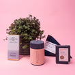 Pamper Gift Pack with Indoor Plant